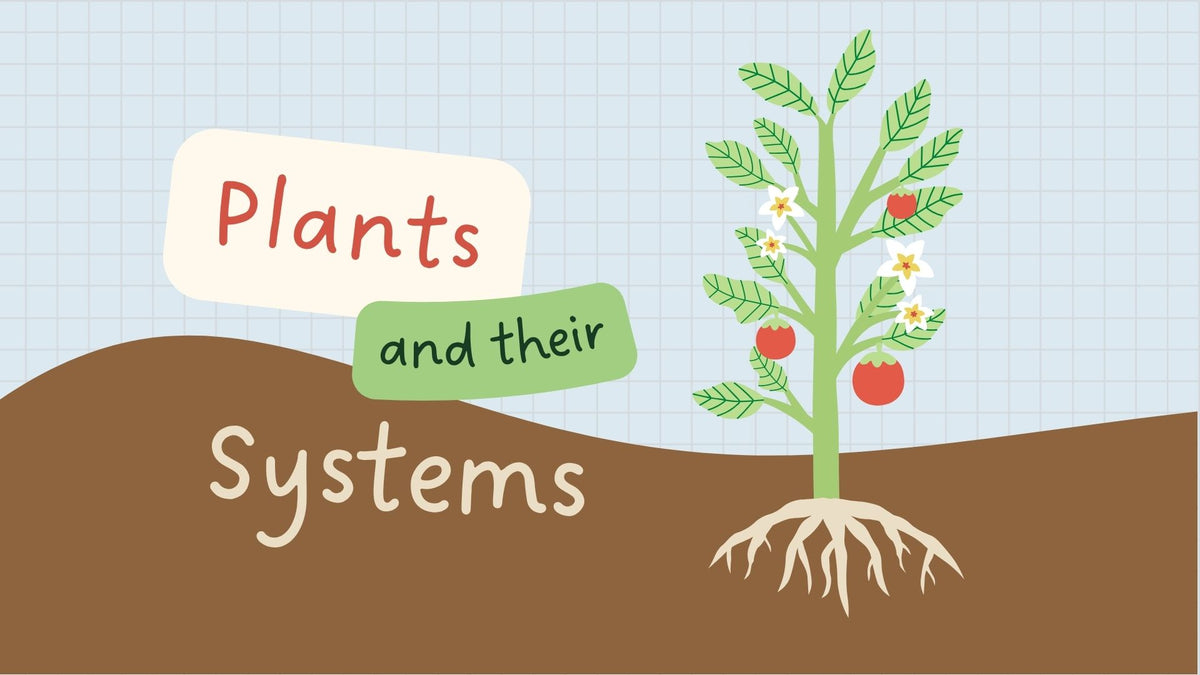 Plant & Animal Structure and Function | 5-Day Science Lesson | Grade 4