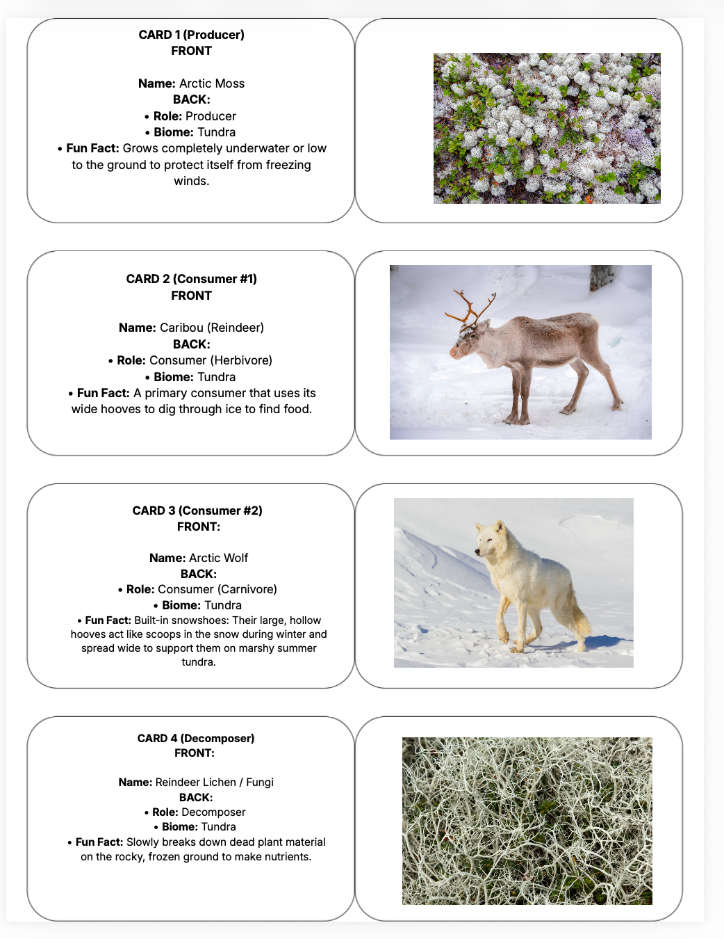 Food Chains and Biomes Lesson | Grades 4–6