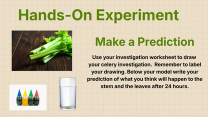 Plant & Animal Structure and Function | 5-Day Science Lesson | Grade 4