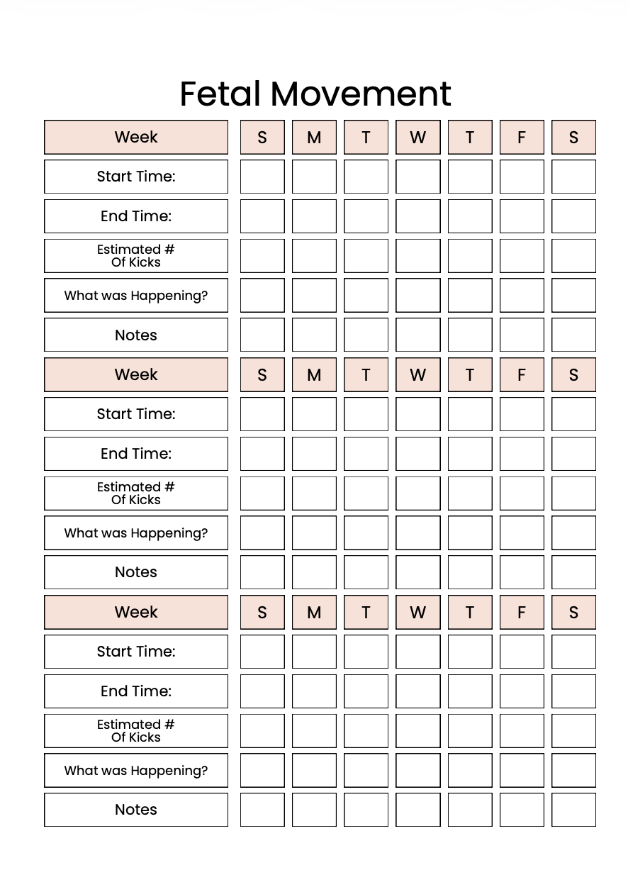 Daily Pregnancy Journal - A New Chapter Begins