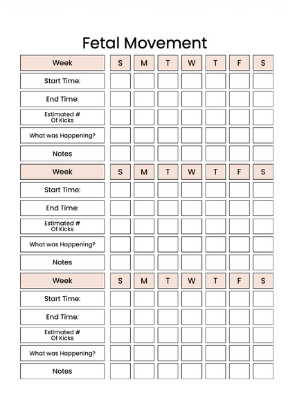 Daily Pregnancy Journal - A New Chapter Begins