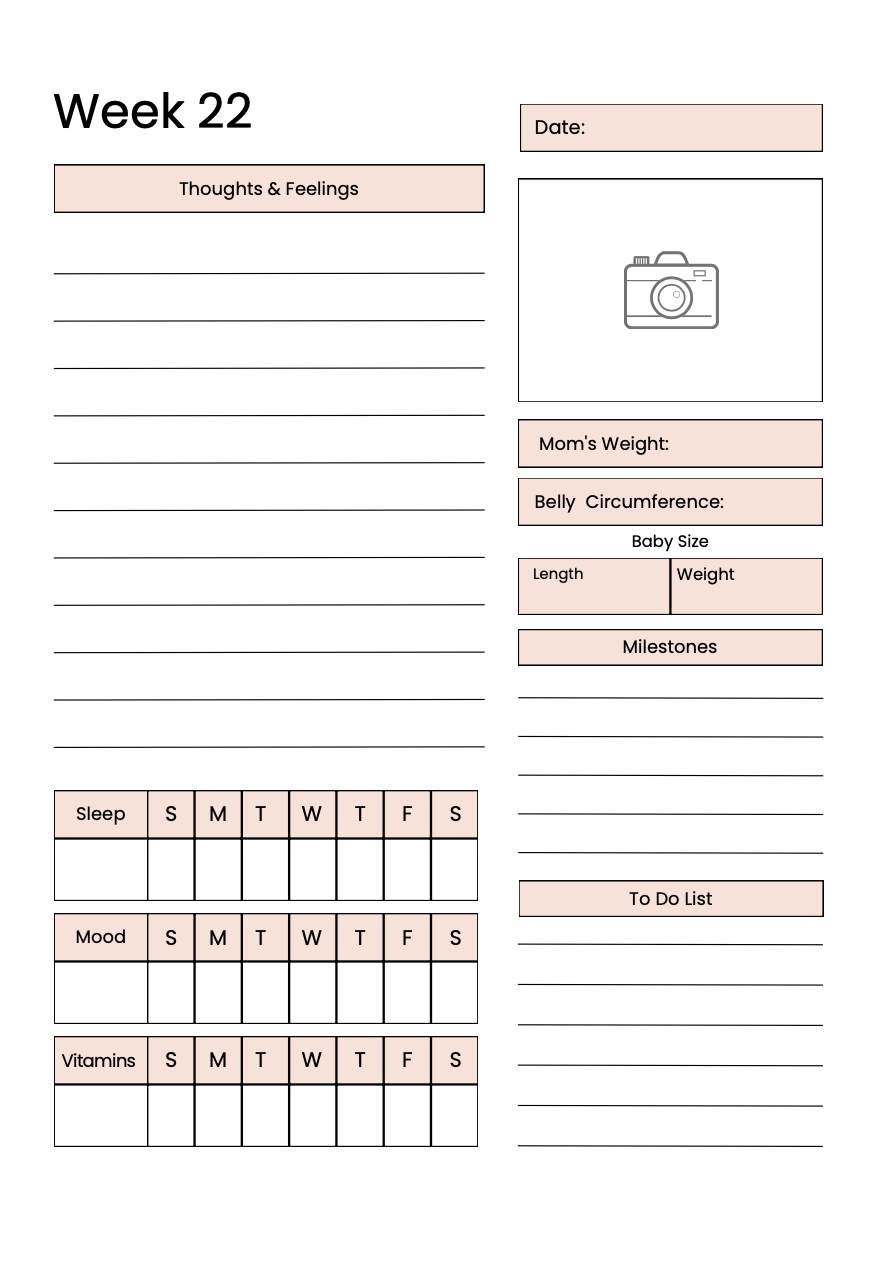 Daily Pregnancy Journal - A New Chapter Begins