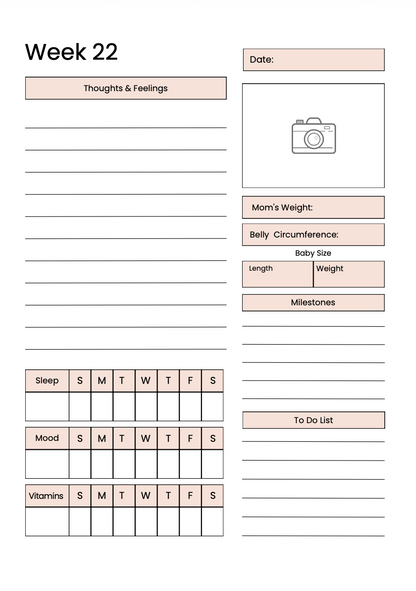 Daily Pregnancy Journal - A New Chapter Begins